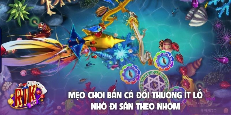 Mẹo chơi bắn cá đổi thưởng ít lỗ nhờ đi săn theo nhóm